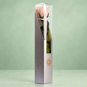 Rosa Preservada Premium en Estuche