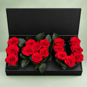 Caja de Rosas Preservadas Eternas