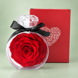 Rosa preservada Diamond Rose